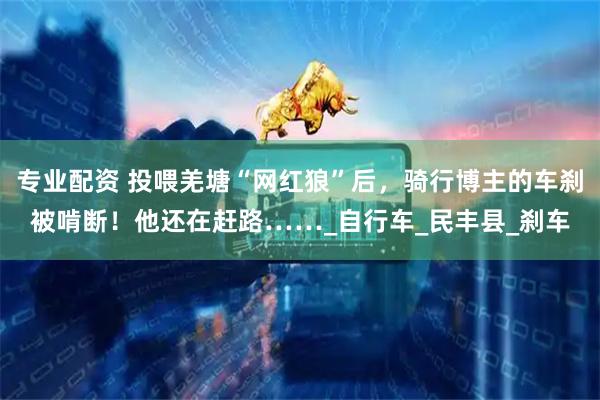 专业配资 投喂羌塘“网红狼”后，骑行博主的车刹被啃断！他还在赶路……_自行车_民丰县_刹车