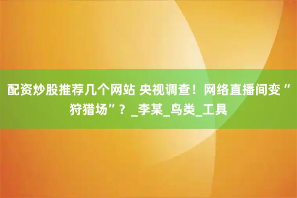 配资炒股推荐几个网站 央视调查！网络直播间变“狩猎场”？_李某_鸟类_工具